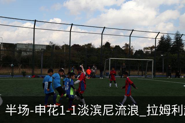 半场-申花1-1淡滨尼流浪 拉姆利越位进球被判有效 徐皓阳贴地斩